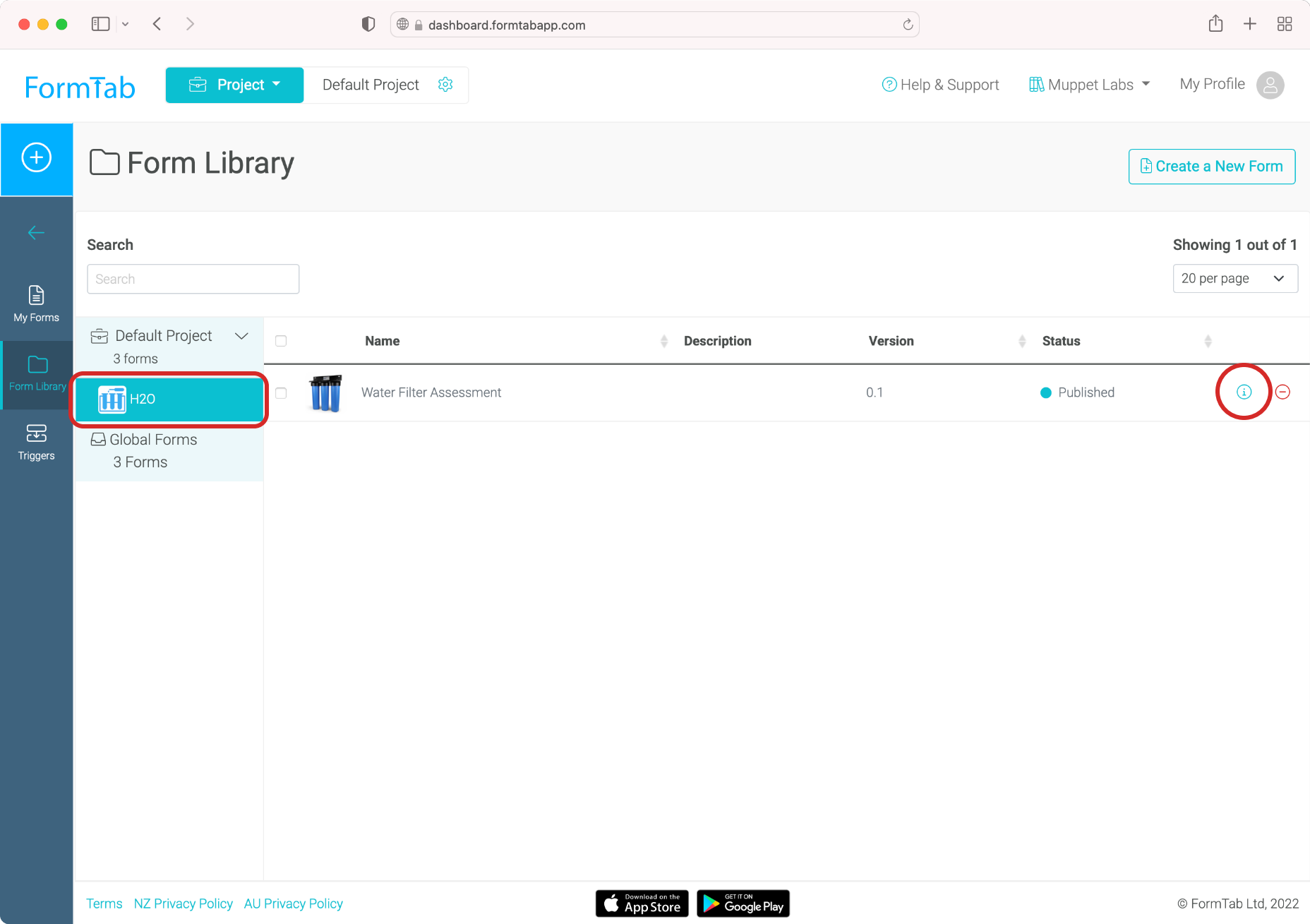 Forms Library - Team Form selected